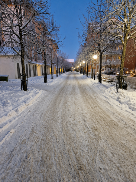 BILD_gårdi